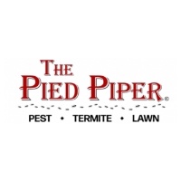 The Pied Piper logo